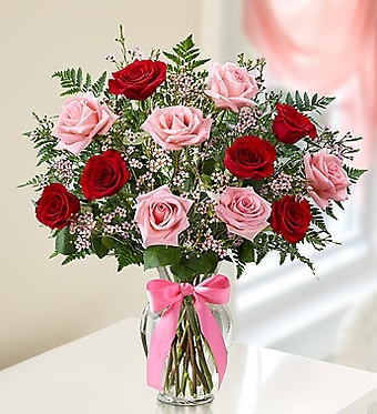 Shades of Pink and Red&trade; Premium Long Stem Roses