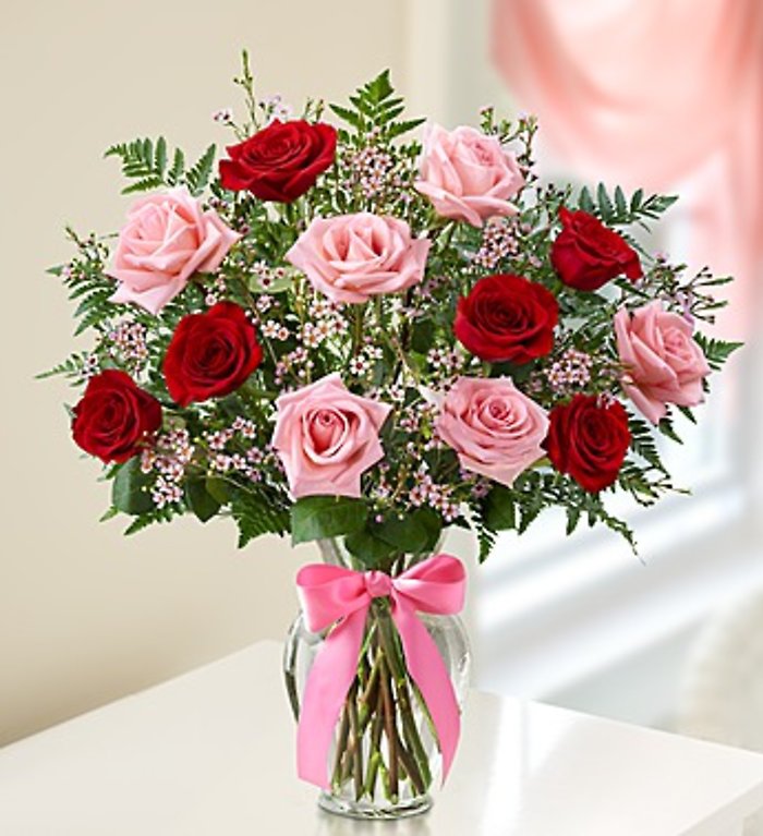 Shades of Pink and Red&trade; Premium Long Stem Roses