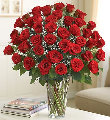 Ultimate Elegance&trade;  Premium Long Stem Red Roses