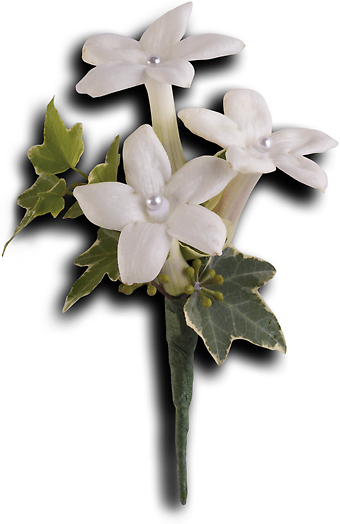 White Gloves Boutonniere