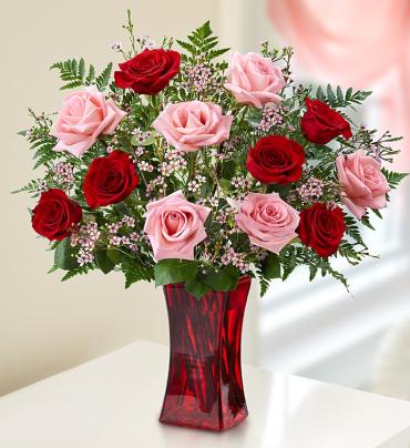 Shades of Pink and Red&trade; Premium Long Stem Roses