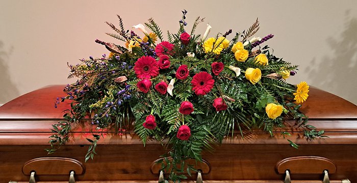 Signature Bright Color Block