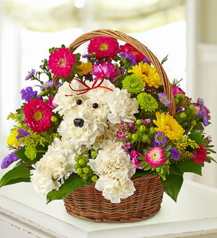 a-DOG-able&reg; in a Basket