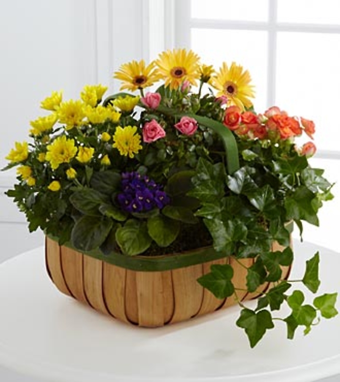 The Gentle Blossoms&trade; Basket